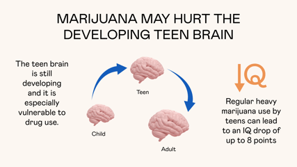 Marijuana Teen Brain